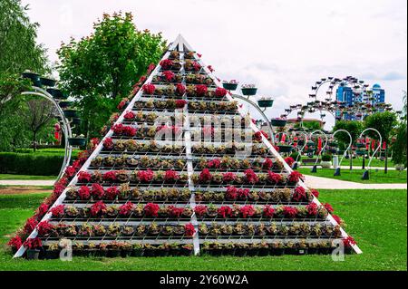 Grosny, Republik Tschetschenien, Russland: 12. Mai 2024. Stadtblick auf den Blumenpark. Blumenbogen mit Landschaftsgestaltung von Petunie-Pflanzen. Eine riesige Anzahl von Blumen Stockfoto