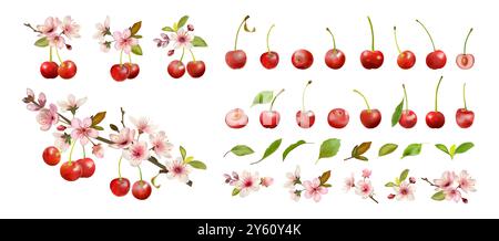 Kirschsymbole. Rote Obstbeere, grünes Bio-Blatt. Ernährung gesunde Lebensmittel, Natur Dessert, frisch und saftig. Isolierte Elemente und Kompositionen für die Dekoration von Lebensmitteln und Saftverpackungen. Flache Vektorkonstruktion Stock Vektor