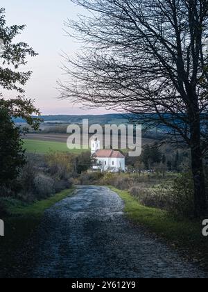 Eine friedliche Landschaft mit einer malerischen Kirche inmitten von Feldern, mit einem von Bäumen gesäumten Pfad, der in der Abenddämmerung dorthin führt. Stockfoto