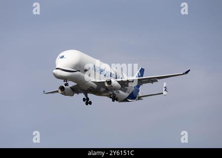 Hamburg – 23. September 2024: Airbus Beluga XL Nummer 2 landet im Airbus-Werk in Hamburg Finkenwerder Stockfoto