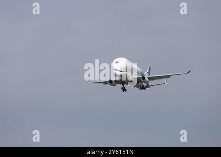 Hamburg – 23. September 2024: Airbus Beluga XL Nummer 2 landet im Airbus-Werk in Hamburg Finkenwerder Stockfoto