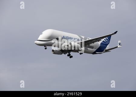 Hamburg – 23. September 2024: Airbus Beluga XL Nummer 2 landet im Airbus-Werk in Hamburg Finkenwerder Stockfoto