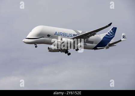 Hamburg – 23. September 2024: Airbus Beluga XL Nummer 2 landet im Airbus-Werk in Hamburg Finkenwerder Stockfoto