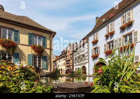 Malerische Altstadt von Eguisheim im Elsass, an der elsässischen Weinstraße, Oberrhein, Grand Est, Frankreich, mit Brunnen, traditionelle Fachwerkhäuser Stockfoto