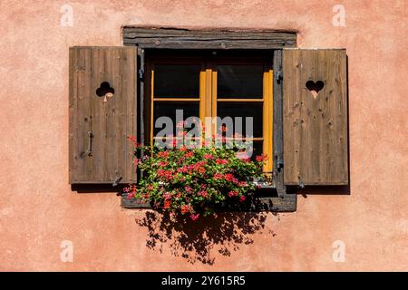 Rustikales, mit Blumen geschmücktes Fenster in der historischen Altstadt von Eguisheim im Elsass, an der elsässischen Weinstraße, Oberrhein, Grand Est, Frankreich, Europa Stockfoto