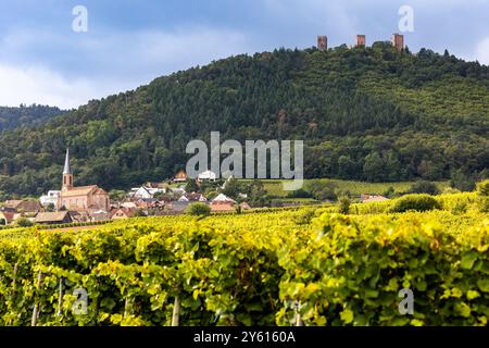 Dorf Husseren-les-Châteaux und die drei Burgen von Husseren-les-Châteaux, im Elsass, in den Vogesen, an der Elsass Weinstraße, Oberrhein, Grand Est, Frankreich Stockfoto