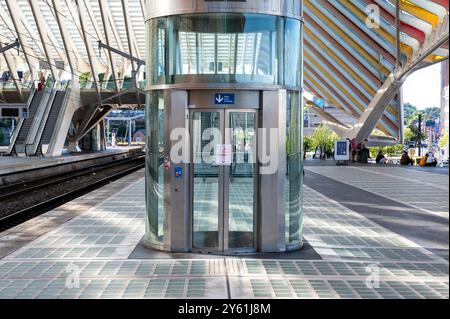 Lüttich, Belgien, 10. August 2024 - Hauptbahnhof von Lüttich Guillemins und farbenfrohe Dekoration Stockfoto