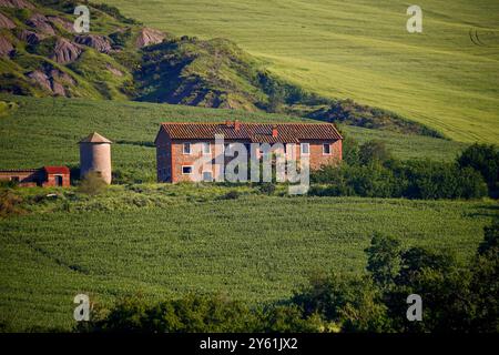 Frühlingslandschaft mit Kulturfeldern und Zypressen, Val d'Orcia, Provinz Siena, Toskana, Italien Stockfoto