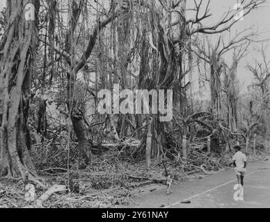 CYCLONE CAROLE CYCLONE DAMAGES PORT LOUIS 11 MÄRZ 1960 Stockfoto