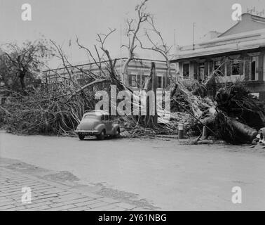 CYCLONE CAROLE CYCLONE DAMAGES PORT LOUIS 11 MÄRZ 1960 Stockfoto