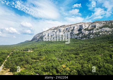 Kalksteinklippen im Naturpark Sainte-Baume in der französischen Region Var. Stockfoto