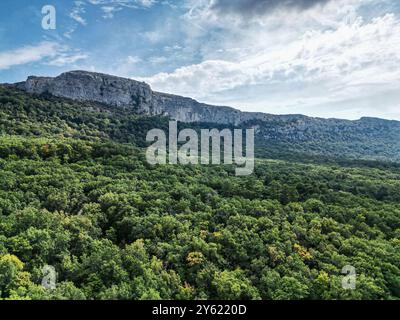 Kalksteinklippen im Naturpark Sainte-Baume in der französischen Region Var. Stockfoto