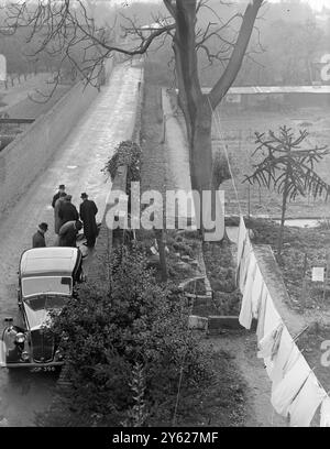 C.I.D. Männer suchten heute Morgen nach Hinweisen nach der Entdeckung der Leiche einer Frau auf einem öffentlichen Fußweg, der durch das Anwesen des Duke of Northumberland führte, Syon Park, Isleworth, Middlesex. Das Mädchen, dessen Handtasche und Ausweisdokumente fehlten, wurde als Miss Sylvia Styles aus der Beech Avenue in Brentford benannt. Detectives von Scotland Yard glauben, dass Mrs. Styles gestern Nacht angegriffen und ausgeraubt wurde und erwürgt wurde, als sie versuchte, sich zu verteidigen. Das Bild zeigt: Ich schaue heute Morgen auf die Szene. Die Polizeibeamten sind neben der überdachten Leiche des Stockfoto