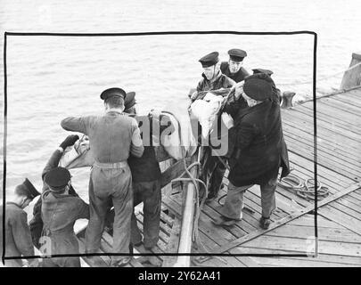 Ein Marinestützpunkt, A.B. Dennis Payne, 23, aus Gosport, Hants, wer von Pinnace mit schweren Kopfverletzungen zum Bournemouth Pier gebracht wurde, hat vermutlich Verletzungen während einer Granatexplosion auf dem Zielschleppschiff Antic erlitten, das heute an der Zielübung in Channel teilnahm. Der Mann wurde an Land gebracht und ins Krankenhaus gebracht. Foto zeigt: Der Verletzte wurde heute am Bournemouth Pier an Land gebracht. 9. Dezember 1947 Stockfoto