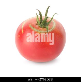 Frische reife rosafarbene Tomate isoliert auf weiß Stockfoto