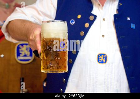 München, Bayern, Deutschland - 23. September 2024: Ein Gastgeber des Oktoberfestes in München serviert einen frisch gezapften Becher Löwenbräu-Bier *** ein Wirt auf dem Oktoberfest in München serviert einen frisch gezapften Maßkrug Bier der Marke Löwenbräu Stockfoto