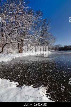 Eiskristalle haben sich auf neuem Eis gebildet, als der relativ warme Fluss im frühen Winter kurz nach einem festlichen Schnee, DuPage River, Hammel Woods, zu frieren beginnt Stockfoto