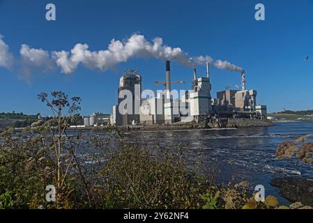 Die Irving Pulp and Paper Limited, früher Irving Pulp Mill, Reversing Falls, ist ein privates Unternehmen mit Sitz in West Saint John, New Brunswick, Canad Stockfoto