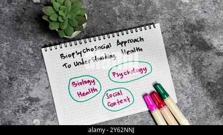 Konzept eines biopsychosozialen Ansatzes zum Verstehen von Gesundheit Schreiben auf Buch isoliert auf Holztisch. Stockfoto