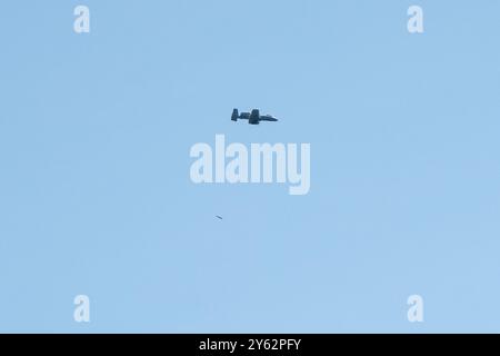 Ein Pilot der Luftwaffe führt am 6. September 2024 ein A-10C Thunderbolt II Flugzeug von der 303rd Fighter Squadron der Whiteman Air Force Base, Mo., über den Luftraum auf der North Post in Fort McCoy, Wiss., als Teil der Ausbildungsmaßnahmen bei der Installation. Laut dem Datenblatt der Air Force für die A-10C ist die Thunderbolt II das erste Luftwaffenflugzeug, das speziell für die enge Luftunterstützung von Bodenkräften entwickelt wurde. Sie sind einfache, effektive und überlebensfähige zweimotorige Düsenflugzeuge, die gegen leichte maritime Angriffsflugzeuge und alle Bodenziele, einschließlich Panzer und andere gepanzerte Fahrzeuge, eingesetzt werden können. Die Stockfoto