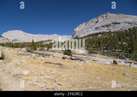 Geschwungene Wanderwege führen zum Berg in der Ferne. Stockfoto