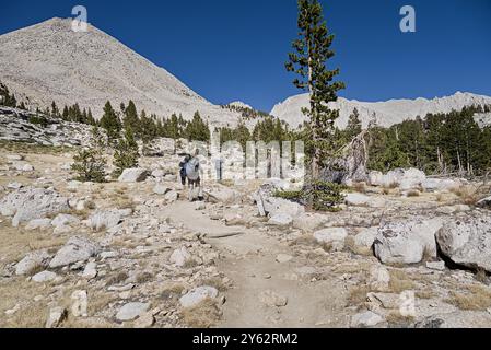 Wanderer auf dem High Sierra Trail in Richtung Mt. Whitney Stockfoto