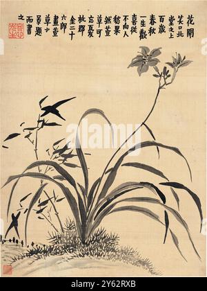 Orchideen des chinesischen Malers und Kalligraphen Jin Nong (金农) (1687-1763). Dieses Kunstwerk mit Tinte auf Papier ist Teil einer Sammlung von 8 Studien, die Poesie, Malerei und Kalligraphie miteinander verbinden. Stockfoto