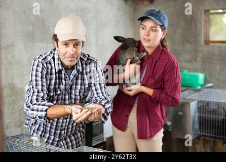 Frau und Mann halten Kaninchen und füttern sich in ihren Händen Stockfoto