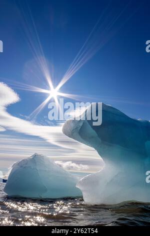 Eis in all seinen unzähligen Formen im Svalbard-Archipel in Norwegen. Stockfoto