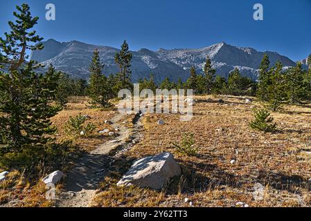 Der High Sierra Trail führt durch Täler. Stockfoto