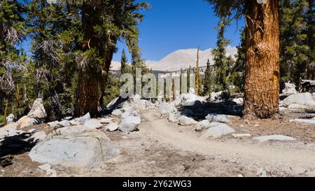 Geschwungene Wanderwege führen zum Berg in der Ferne. Stockfoto