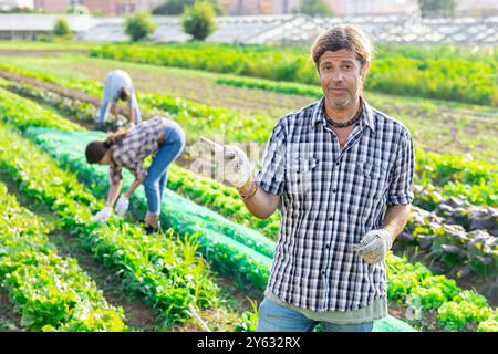 Porträt positiver Betriebsinhaber vor dem Hintergrund des Feldes mit Gemüseernte Stockfoto