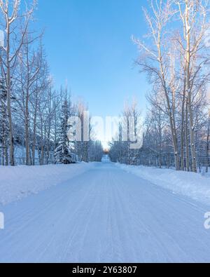 Atemberaubende Winterlandschaft mit schneebedeckter Straße im Norden Kanadas an einem wunderschönen Tag mit blauem Himmel umgeben von Birken und Weiden in der Wildnis. Stockfoto