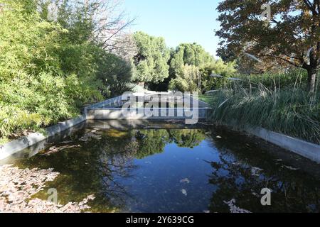 Madrid, 14.11.2017. Der Teich des Tierno-Galván-Parks im Bezirk Arganzuela. Verschlechterung des Bereichs. Blattstreu. Foto: Jaime García. ARCHDC. Quelle: Album / Archivo ABC / Jaime García Stockfoto