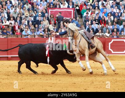 Sevilla, 04/30/2017. Stierkampf zu Pferd. Sechs Stiere von Fermin Bohorquez. Der Stierkämpfer auf dem Pferd Sergio Galan. Foto: Raul Doblado. ARCHSEV. Quelle: Album / Archivo ABC / Raúl Doblado Stockfoto