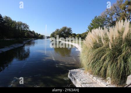 Madrid, 14.11.2017. Der Teich des Tierno-Galván-Parks im Bezirk Arganzuela. Verschlechterung des Bereichs. Blattstreu. Foto: Jaime García. ARCHDC. Quelle: Album / Archivo ABC / Jaime García Stockfoto