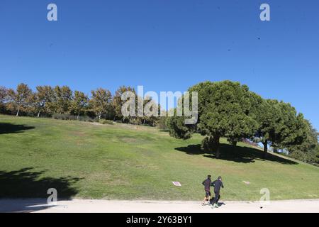 Madrid, 14.11.2017. Der Teich des Tierno-Galván-Parks im Bezirk Arganzuela. Verschlechterung des Bereichs. Blattstreu. Foto: Jaime García. ARCHDC. Quelle: Album / Archivo ABC / Jaime García Stockfoto