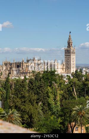 Sevilla, 22.06.2021. Bericht über das Gebäude des Provinzgerichts von Sevilla und seine versteckten Ecken. Blick auf Sevilla vom Provinzgericht. Foto: Vanessa Gómez. ARCHSEV. Quelle: Album / Archivo ABC / Vanessa Gómez Stockfoto