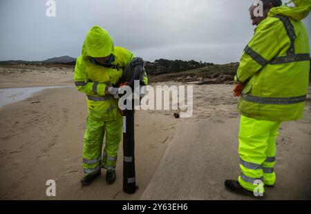 Corrubedo (La Coruña), 13.01.2024. Leuchtturm Von Corrubedo. Pellet-Sammlung. Foto: Miguel Muñiz. Archdc. Quelle: Album / Archivo ABC / Miguel Muñiz Stockfoto