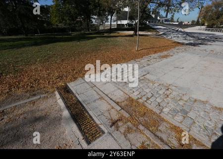 Madrid, 14.11.2017. Der Teich des Tierno-Galván-Parks im Bezirk Arganzuela. Verschlechterung des Bereichs. Blattstreu. Foto: Jaime García. ARCHDC. Quelle: Album / Archivo ABC / Jaime García Stockfoto