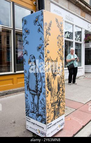 Das Wandbild des Jahres der Künste eines Papageientauchers in Pullover an der Water Street im Stadtzentrum von St. John's, Neufundland & Labrador, Kanada Stockfoto