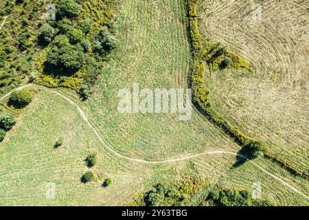 Fliegen Sie an einem sonnigen Herbsttag über den Wanderweg durch weite Wiesen in der Landschaft. Drohnenfoto. Stockfoto