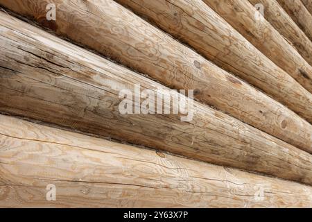 Holzwand aus ungefärbten Kiefernstämmen, perspektivische Ansicht, Hintergrundfoto. Das Blockhaus befindet sich im Bau Stockfoto