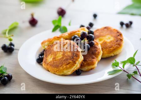 Frittierte Quark-Pfannkuchen mit schwarzen Johannisbeeren auf einem Holztisch. Stockfoto