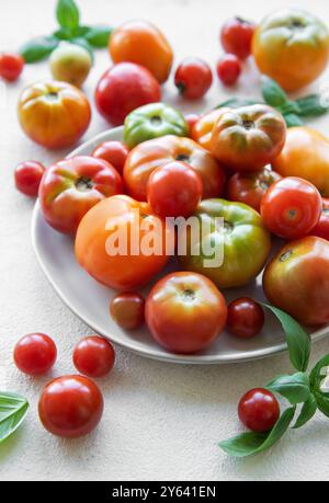 Eine Vielzahl von Tomaten in verschiedenen Farben und Größen sind kunstvoll auf einem weißen Teller angeordnet, ergänzt durch frische Basilikumblätter. Stockfoto