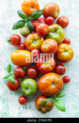 Eine lebendige Sammlung verschiedener Erbstücke und Kirschtomaten liegt auf einer weichen Oberfläche, die durch frische Basilikumblätter ergänzt wird und eine reichhaltige Farbpalette bietet Stockfoto