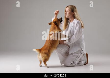 Frauenausbildung walisischer Corgi pembroke auf isoliertem weißem Hintergrund , Hundeerziehung und Trainingskonzept Stockfoto