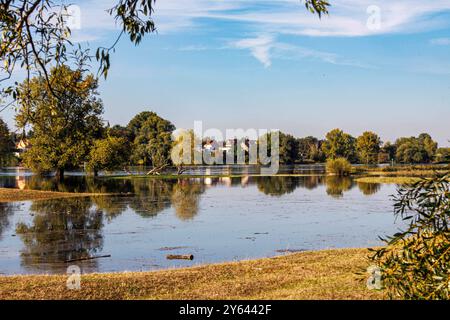 Rogätz, Deutschland 22. September 2024: Im Bild: Die Hochwasserlage der Elbe, die vom Hochwasser überspülten Elbwiesen bei Rogätz Sachsen-Anhalt *** Rogätz, Deutschland 22. September 2024 im Bild die Hochwasserlage der Elbe, die Elbwiesen bei Rogätz Sachsen-Anhalt von Hochwasser überflutet Copyright: XFotostandx/xReissx Stockfoto