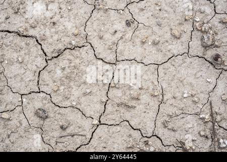 Draufsicht auf zerrissene Böden aufgrund von Dürre durch Klimawandel und globale Erwärmung Stockfoto