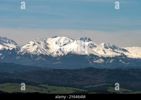 Schneebedeckte Berggipfel - Tatra Berge. Blick vom Aussichtsturm auf dem Gipfel des Koziarz-Berges in Beskidzkie Sądeckie. Tatra Panorama - Stockfoto